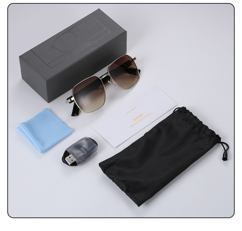HOLLYWOOD Audio Smartglasses