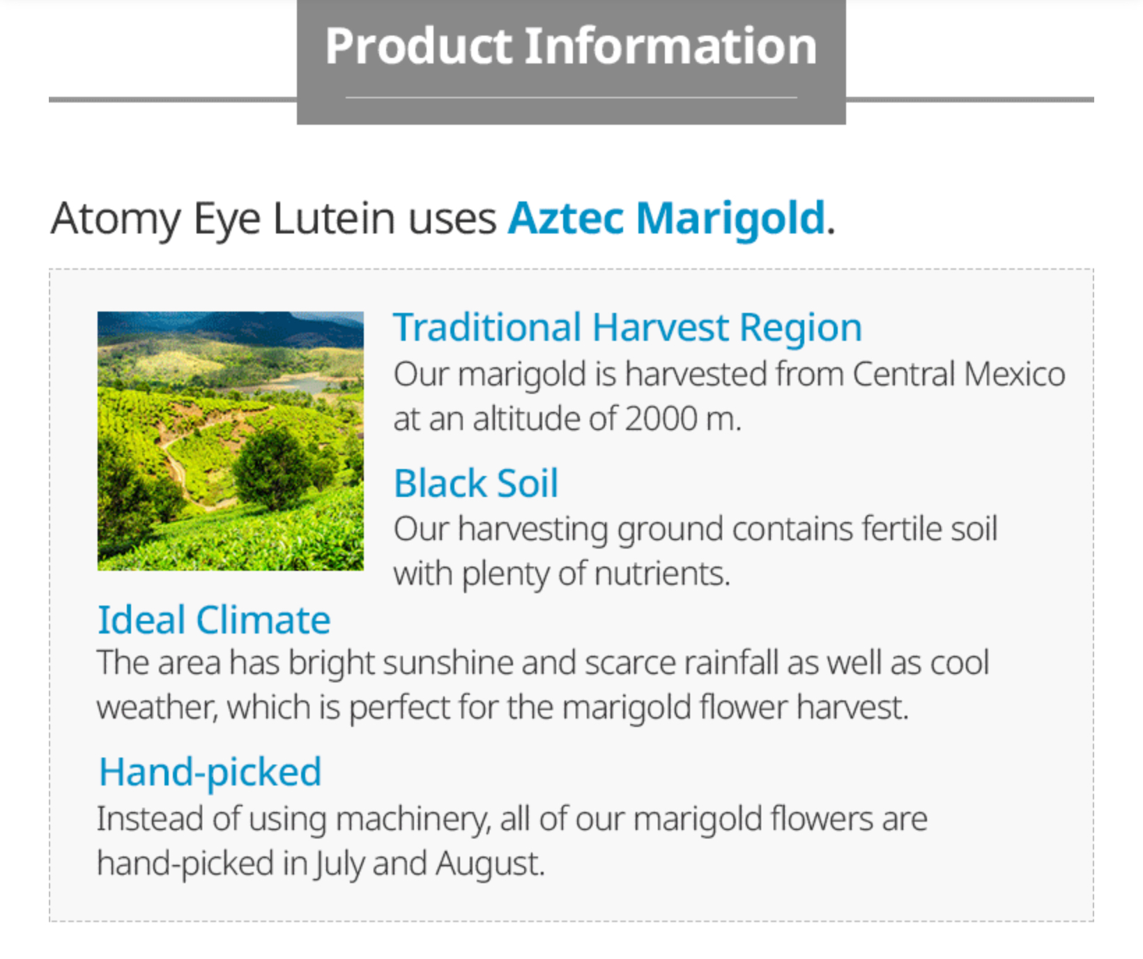 ATOMY EYE LUTEIN