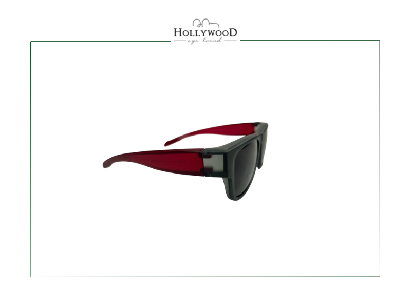 FLIP-OVER  H8802 POIARIZED